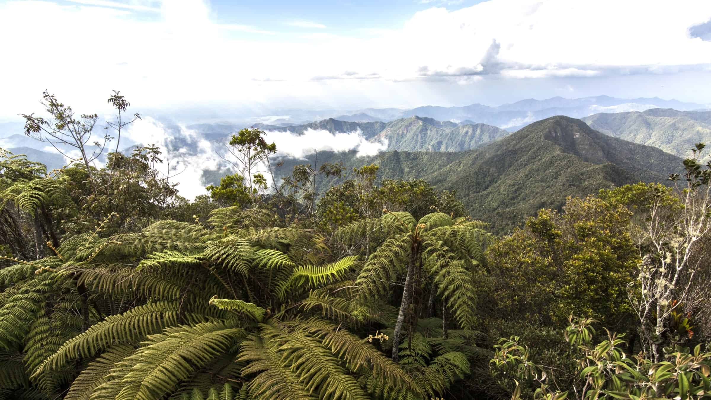 Sierra Maestra mountains , Cuba 