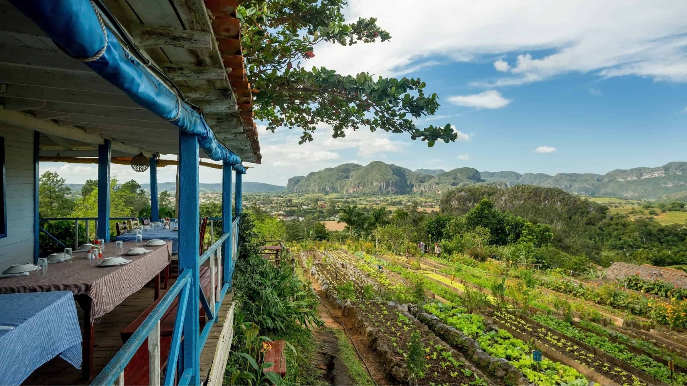 Finca Paraiso, Vinales Valley, Cuba