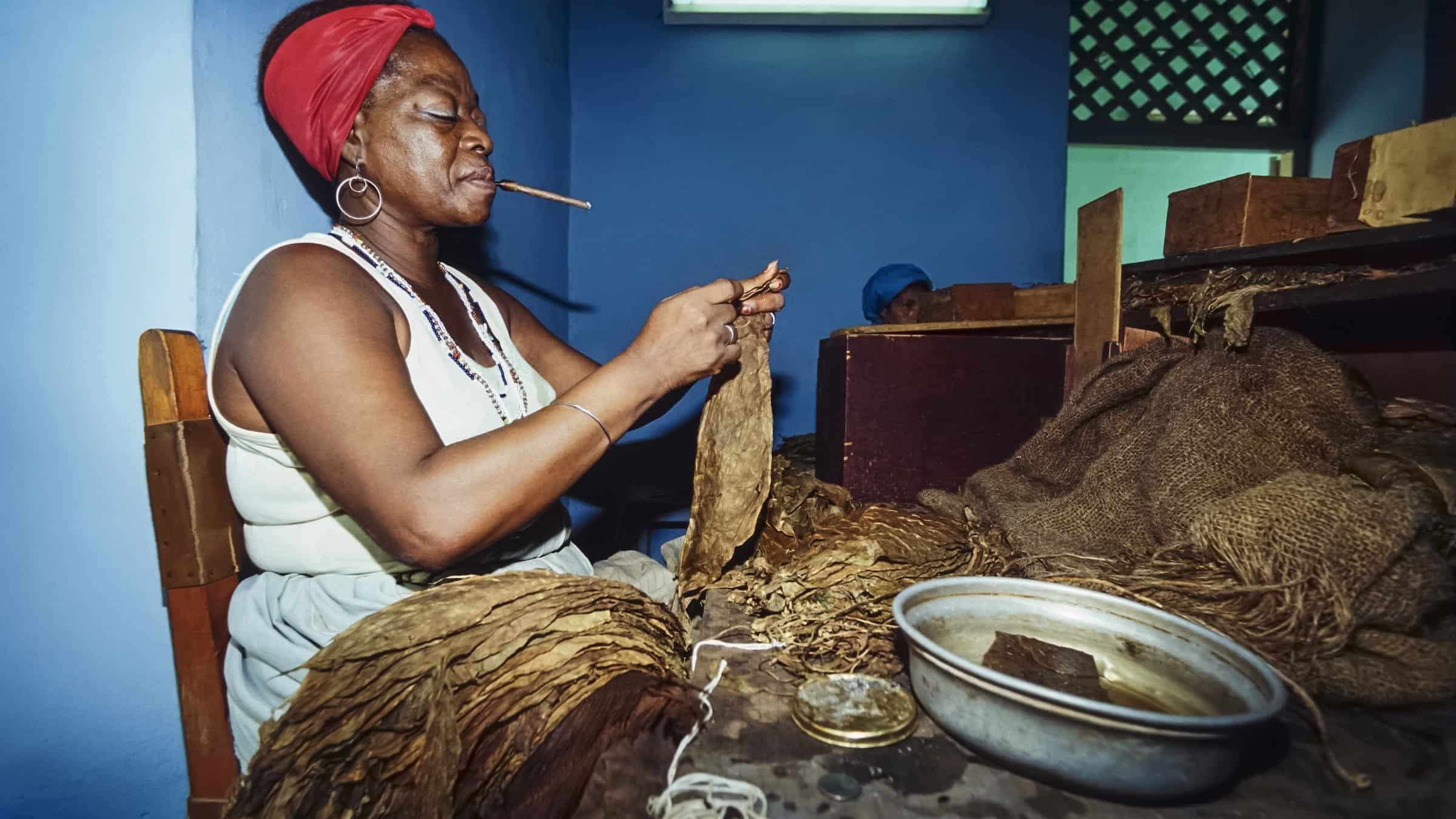Lady cigar roller , cigar factory , Old Havana 
